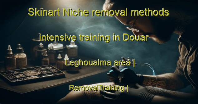 Skinart Niche removal methods intensive training in Douar Leghoualma area | RemovalTraining | RemovalClasses | SkinartTraining-Morocco